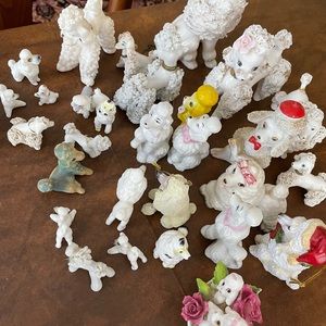 Poodle collection